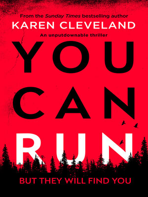 cover image of You Can Run